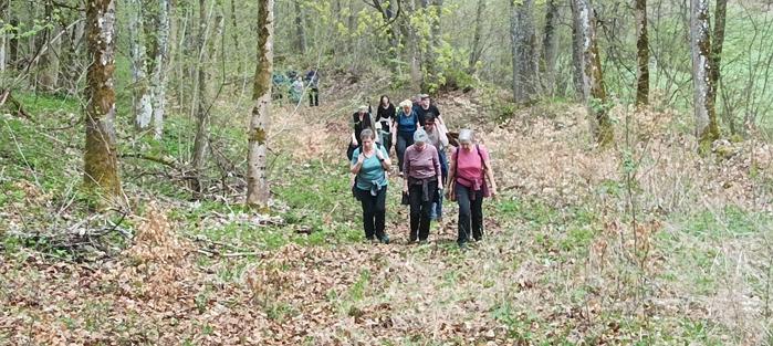 braunkohlewanderung