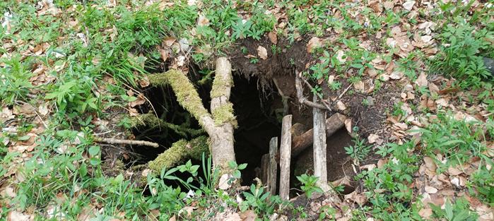 braunkohlewanderung