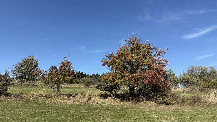 grenzwanderung
