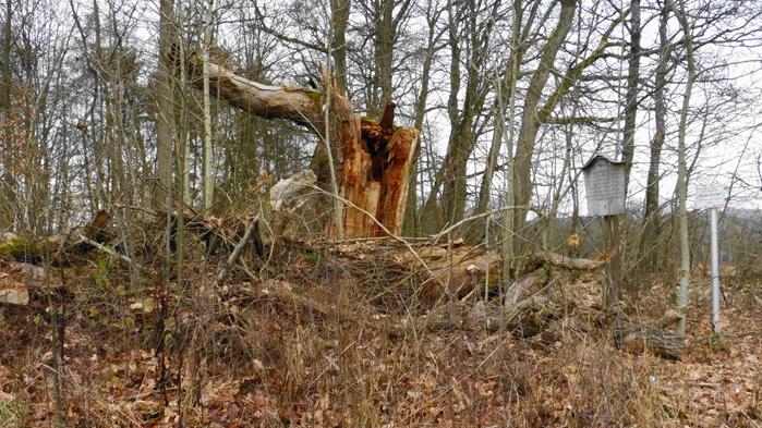 jahresabschlusswanderung